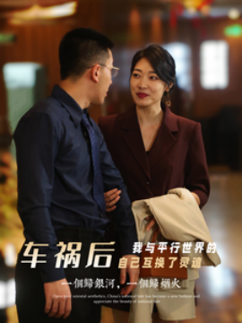 车祸后我与平行世界的自己互换了灵魂 (2024)|雷宸资源库