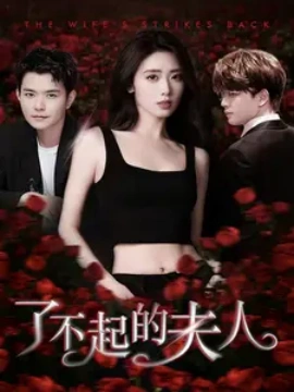 了不起的夫人 (2024)|雷宸资源库