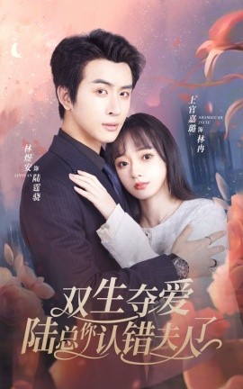 双生夺爱陆总你认错夫人了 (2024) - 雷宸资源库|雷宸资源库