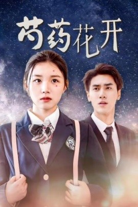 芍药花开 (2024) - 雷宸资源库|雷宸资源库