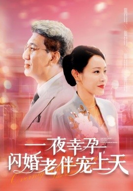 一夜幸孕，闪婚老伴宠上天 (2024) - 雷宸资源库|雷宸资源库