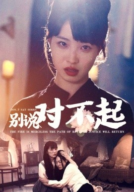 别说对不起 (2024) - 雷宸资源库|雷宸资源库