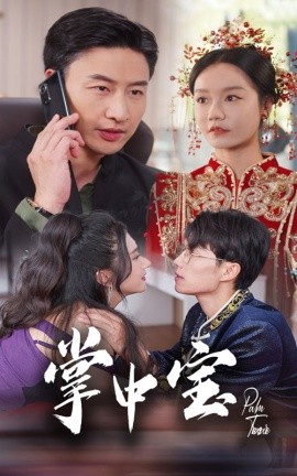 掌中宝 (2024) - 雷宸资源库|雷宸资源库