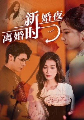 新婚夜，离婚时 (2024) - 雷宸资源库|雷宸资源库