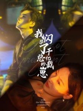 我闪孕了千亿总裁的崽 (2024) - 雷宸资源库|雷宸资源库