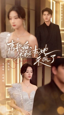 离职后，宋秘书她杀疯了 (2024) - 雷宸资源库|雷宸资源库