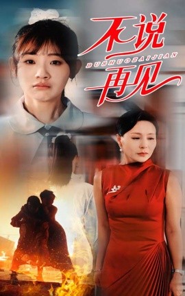 不说再见 (2024) - 雷宸资源库|雷宸资源库