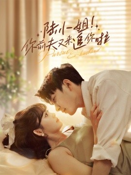 陆小姐！你前夫又来追你啦 (2024) - 雷宸资源库|雷宸资源库