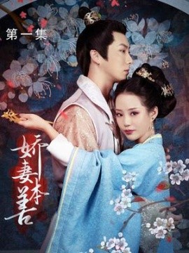 娇妻本善 (2024) - 雷宸资源库|雷宸资源库