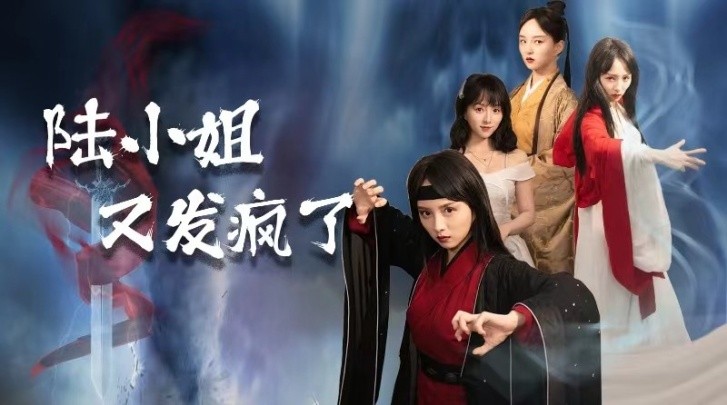 陆小姐又发疯了 (2024) - 雷宸资源库|雷宸资源库