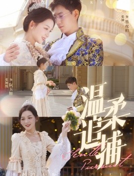 温柔追捕 (2024) - 雷宸资源库|雷宸资源库