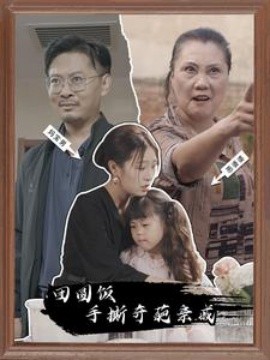 团圆饭手撕奇葩亲戚 (2024)|雷宸资源库