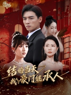 结婚当天我成了豪门继承人 (2024) - 雷宸资源库|雷宸资源库