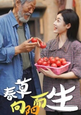 春草向阳而生 (2024) - 雷宸资源库|雷宸资源库