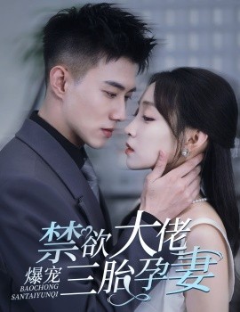 禁欲大佬爆宠三胎孕妻 (2024) - 雷宸资源库|雷宸资源库