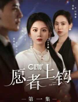 愿者上钩 (2024)|雷宸资源库