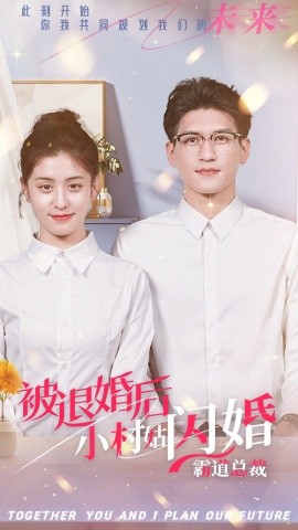 被退婚后，小村姑闪婚霸道总裁 (2024) - 雷宸资源库|雷宸资源库