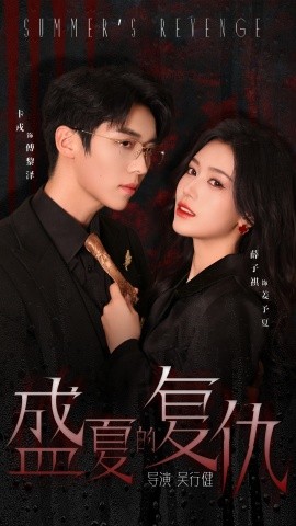 盛夏的复仇 (2024) - 雷宸资源库|雷宸资源库