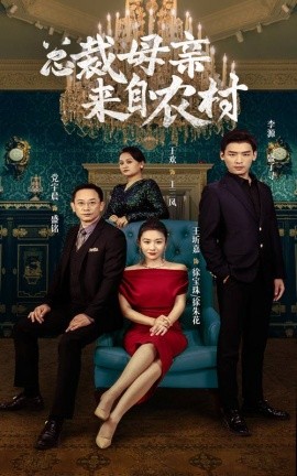 总裁母亲来自农村 (2024) - 雷宸资源库|雷宸资源库