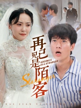 再见已是陌客 (2024) - 雷宸资源库|雷宸资源库
