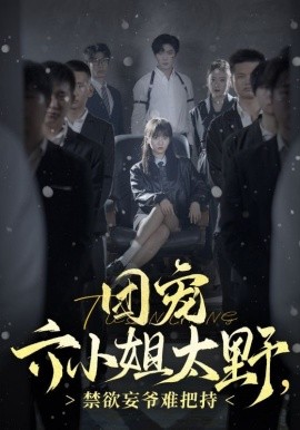 团宠六小姐太野，禁欲妄爷难把持 (2024)|雷宸资源库