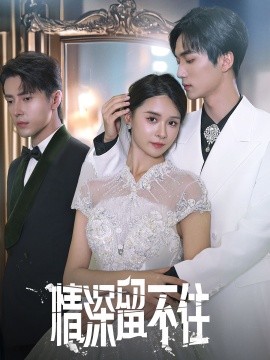情深留不住 (2024) - 雷宸资源库|雷宸资源库