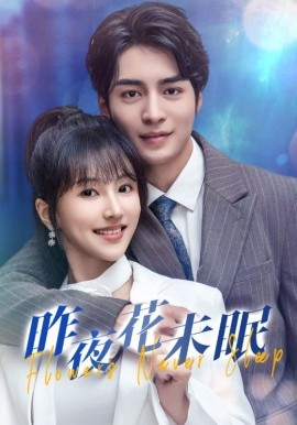 昨夜花未眠 (2024) - 雷宸资源库|雷宸资源库