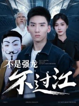 不是强龙不过江 (2024) - 雷宸资源库|雷宸资源库