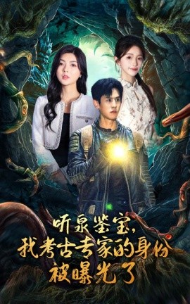 听泉鉴宝，我考古专家的身份被曝光了 (2024) - 雷宸资源库|雷宸资源库