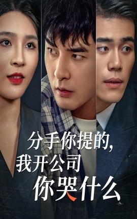 分手你提的，我开公司你哭什么 (2024) - 雷宸资源库|雷宸资源库