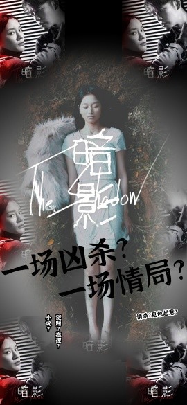 暗影 (2024) - 雷宸资源库|雷宸资源库