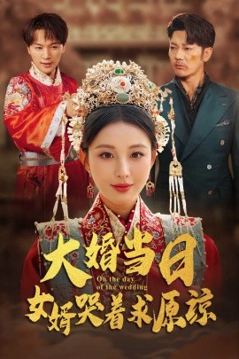大婚当日，女婿哭着求原谅 (2024) - 雷宸资源库|雷宸资源库