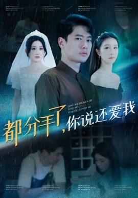 都分手了，你说还爱我 (2024) - 雷宸资源库|雷宸资源库