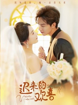 迟来的欢喜 (2024)|雷宸资源库