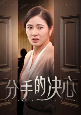 分手的决心 (2024) - 雷宸资源库|雷宸资源库