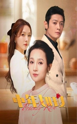 中年如玫 (2024) - 雷宸资源库|雷宸资源库