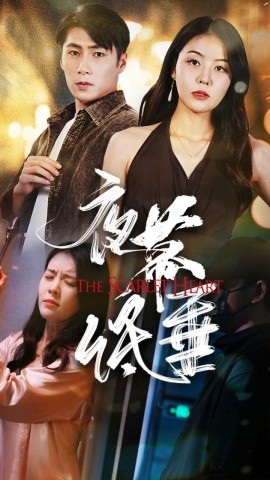 夜幕低垂 (2024)|雷宸资源库