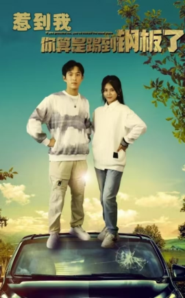 惹到我你算是踢到钢板了 (2024)|雷宸资源库