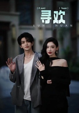 寻欢 (2024) - 雷宸资源库|雷宸资源库