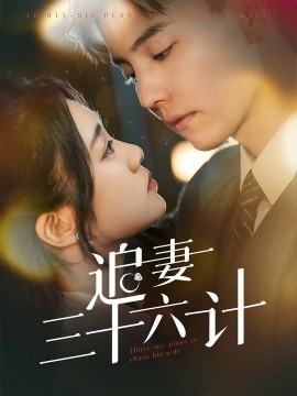 追妻三十六计 (2024)|雷宸资源库