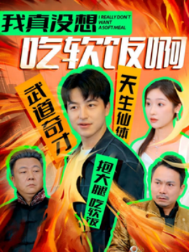 我真没想吃软饭啊 (2024) - 雷宸资源库|雷宸资源库