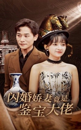 闪婚娇妻竟是鉴宝大佬 (2024) - 雷宸资源库|雷宸资源库