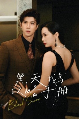 黑天鹅攻略手册 (2024) - 雷宸资源库|雷宸资源库