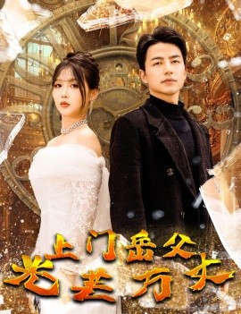 上门岳父光芒万丈 (2024)|雷宸资源库