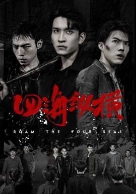 四海纵横 (2024) - 雷宸资源库|雷宸资源库