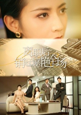 离职后销冠惊艳全场 (2024) - 雷宸资源库|雷宸资源库