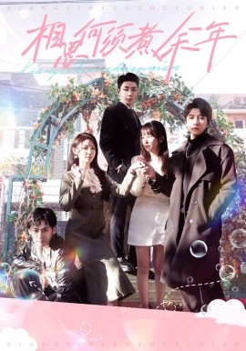 相思何须煮余年 (2024) - 雷宸资源库|雷宸资源库