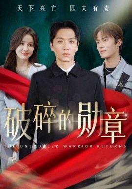 破碎的勋章 (2024) - 雷宸资源库|雷宸资源库