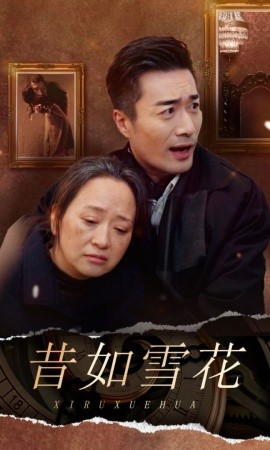 昔如雪花 (2024)|雷宸资源库