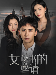 女秘书的邀请 (2024) - 雷宸资源库|雷宸资源库